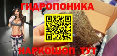 шишки Дубна