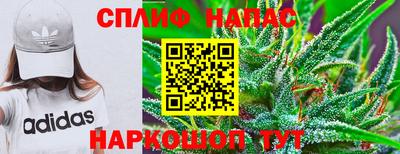 шишки Дубна