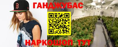 apvp Заводоуковск