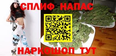 шишки Дубна