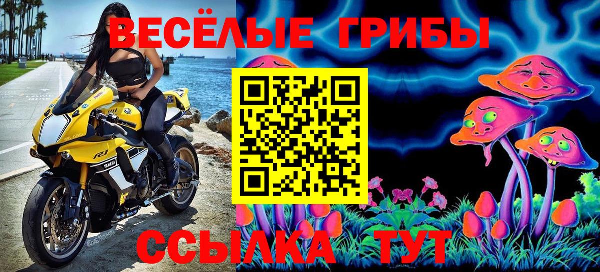Галлюциногенные грибы MAGIC MUSHROOMS  Вход с VPN  Киреевск 